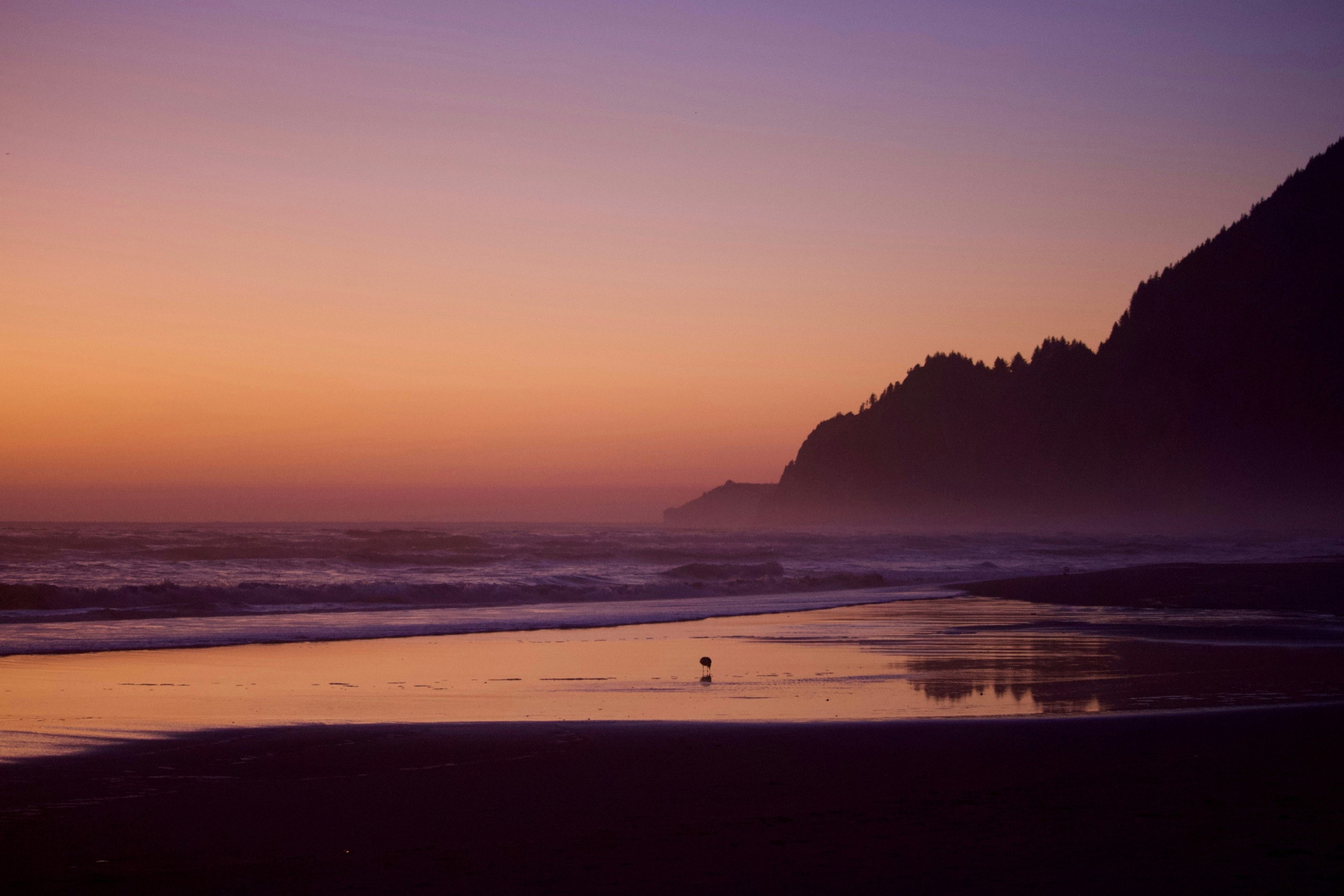 The Oregon Coast at sunset